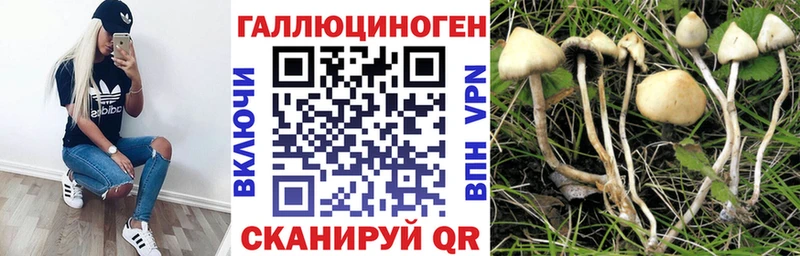 Псилоцибиновые грибы Psilocybine cubensis  Алексеевка 