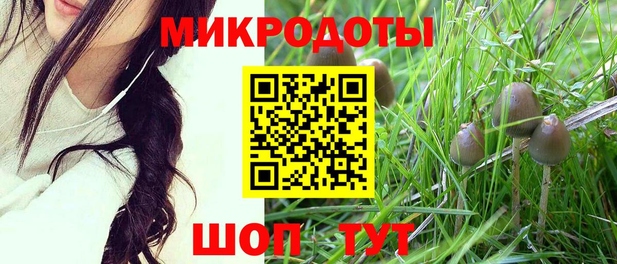 Псилоцибиновые грибы Psilocybe  закладка  Псилоцибиновые грибы MAGIC MUSHROOMS  Алексеевка  Вход с VPN 