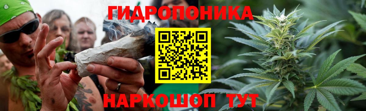 Шишки марихуана OG Kush  МАРИХУАНА ГИДРОПОН  Шишки марихуана Amnesia  Алексеевка  Вход с VPN  Шишки марихуана ГИДРОПОН 